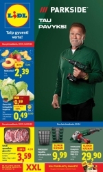 Leidinys LIDL
