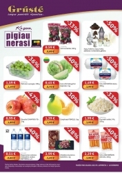 Leidinys Grūstė Videniškiai